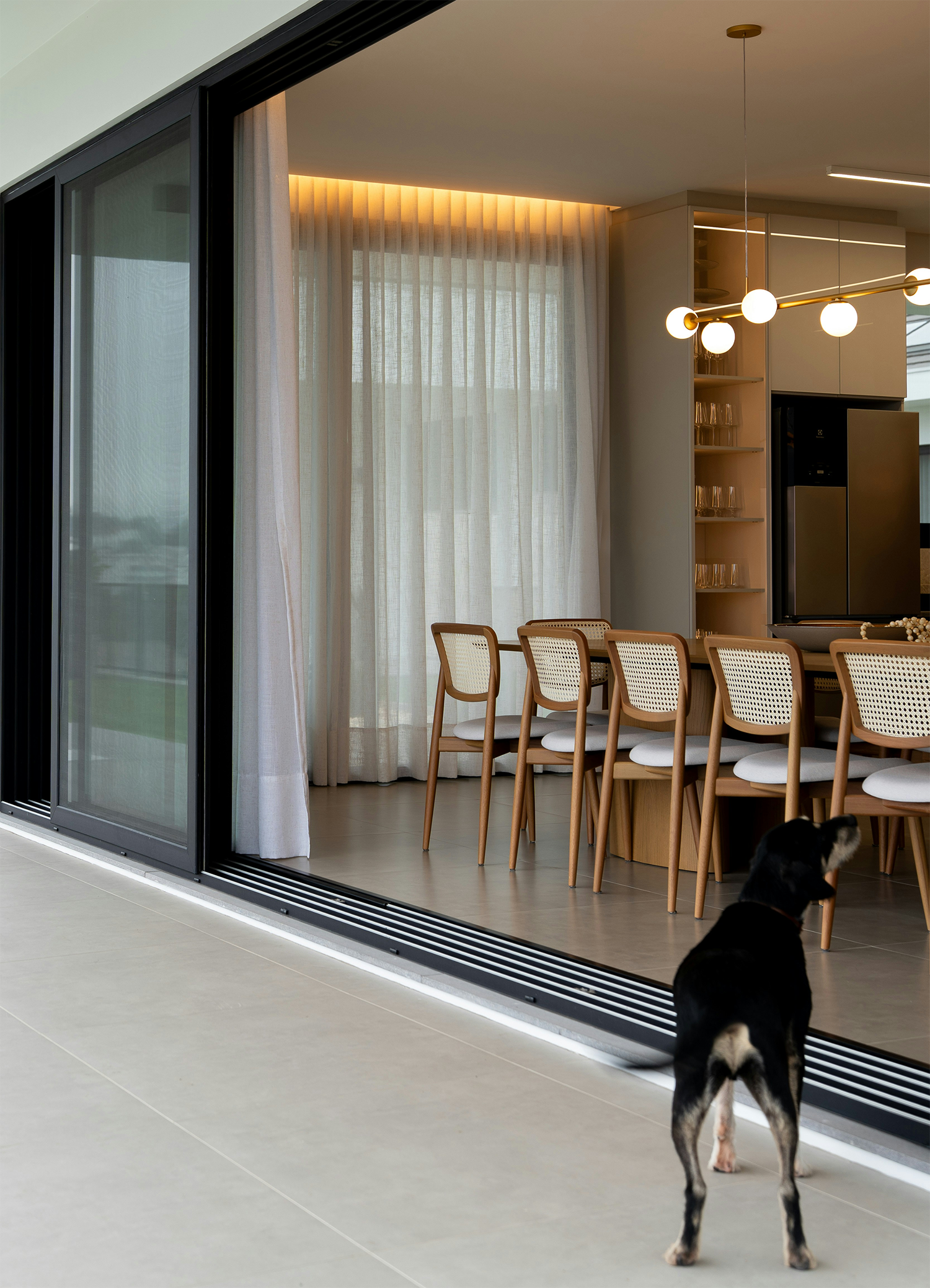 Tables and chairs with dog